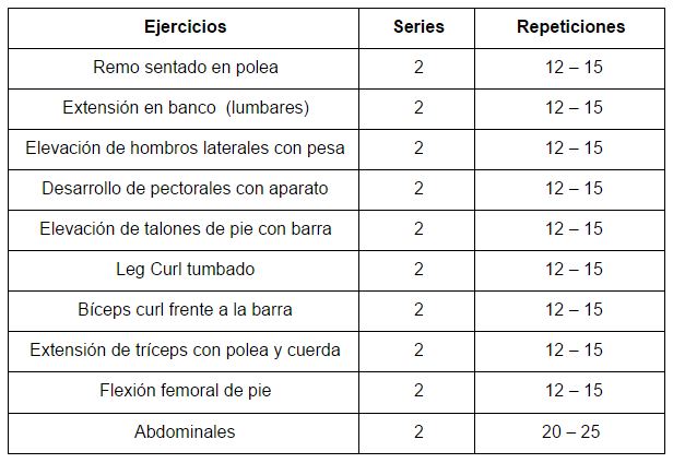 Fase 1 Programa de entrenamiento XL Muscle