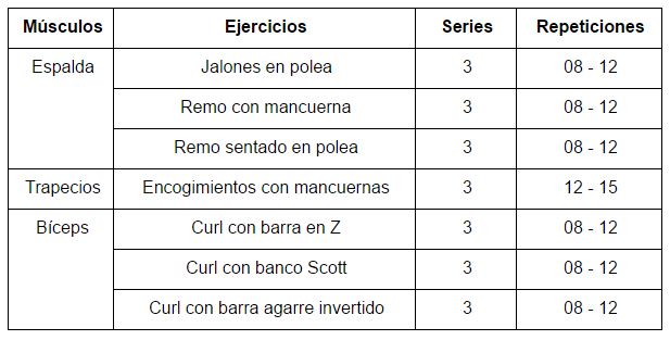 Fase 3 Programa de entrenamiento XL Muscle