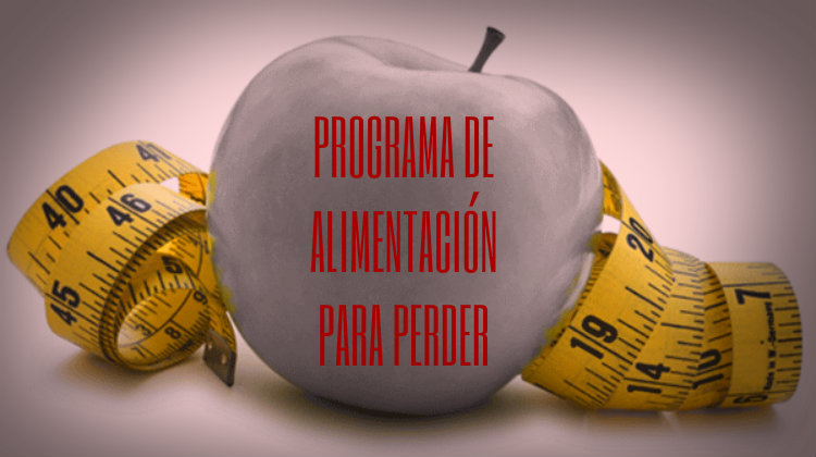 programa de alimentación